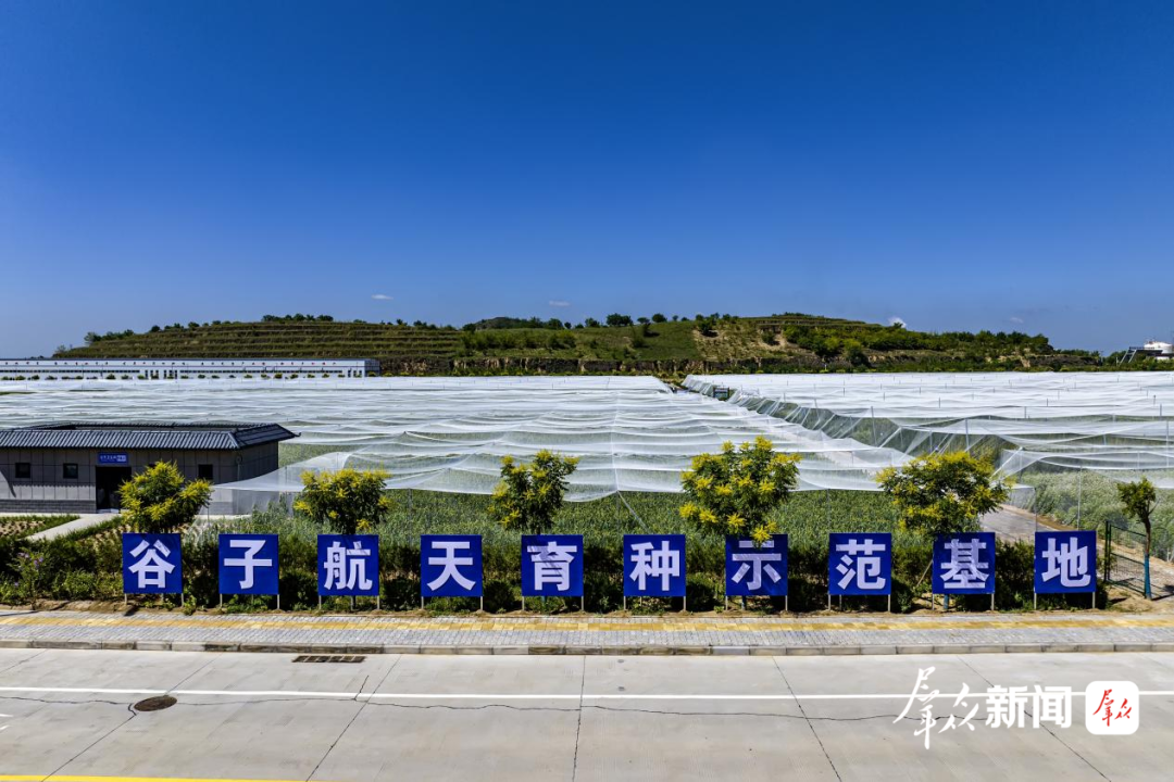 配图2